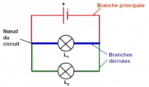 branches d'un circuit en dérivation