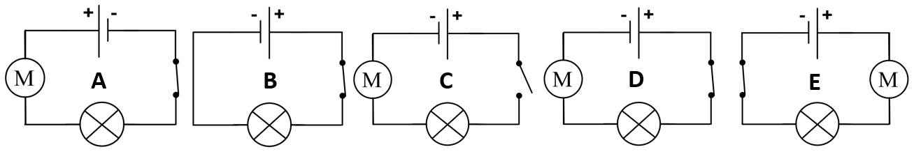 Chapitre I - Le circuit électrique - Physique-Chimie au Collège